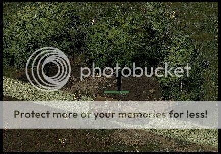Image IPB